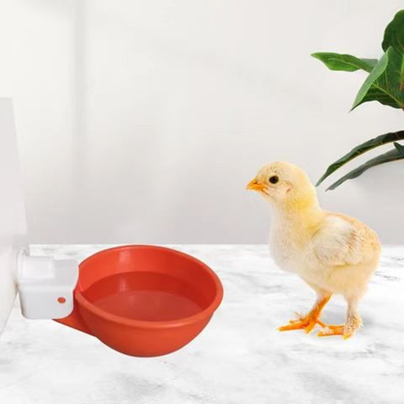 New Chicken Water Bowl Poultry Automatic Drinking Bowl Chicken Drinking Cup Automatic Chicken Water Dispenser Chicken Water Dispenser Factory for Cross-Border
