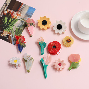 Commerce extérieur nouvelle épingle à cheveux en acétate de fruits fraise dessin animé accessoires pour cheveux ins haute qualité mignon épingle à cheveux y2g dopamine_voghion.com