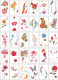 S suit (30 sheets/pack do not repeat)