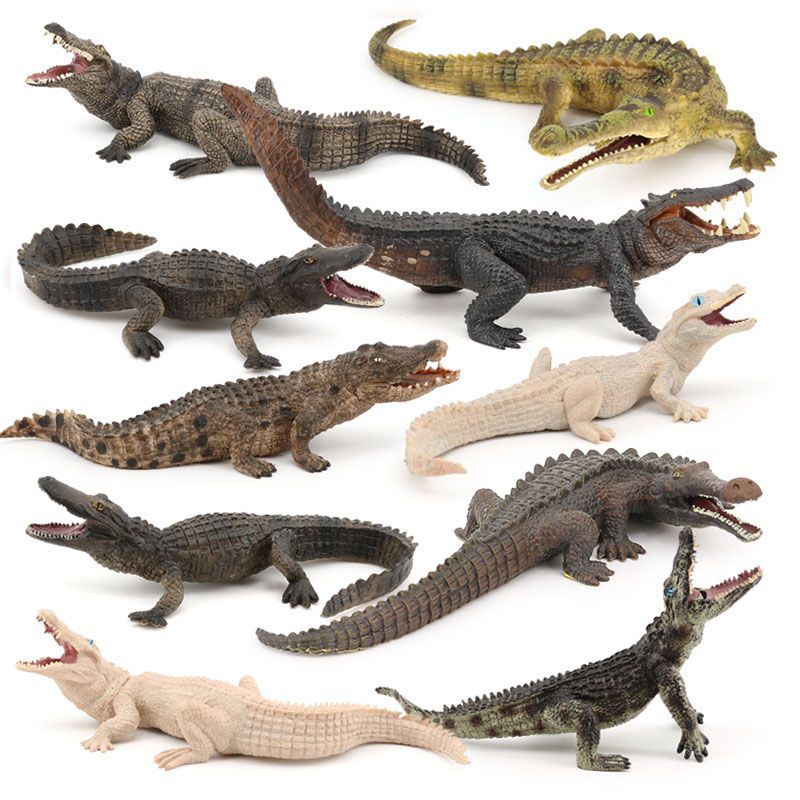 Children's simulation model amphibious crocodile toy Nile crocodile wild boar crocodile wild animal model