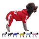 Autumn and winter new variety of buttons four-legged sports outdoor vests dog cat pet clothes manufacturers wholesale