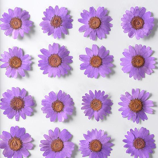 Crystal chrysanthemum flower white crystal chrysanthemum embossed diy handmade flower painting bookmark aromatherapy candle plant teaching specimen