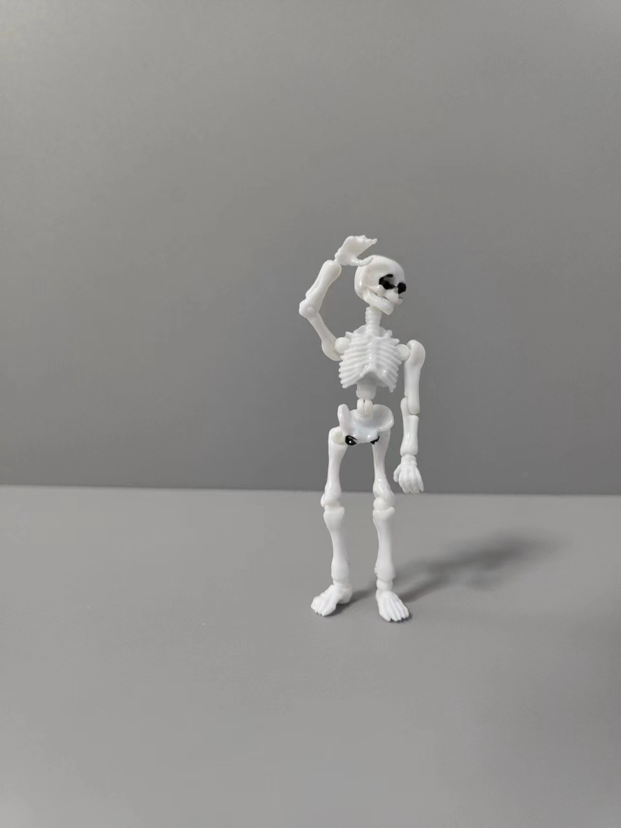[В наличии] Японский Скелет Gashapon Skeleton Деятельность Череп Люди Развивающие игрушки Совместные инструменты для обучения человеческого тела