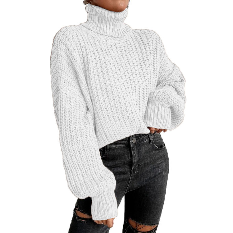Pull à col roulé en tricot ample à manches longues pour femme, nouvelle mode automne et hiver, commerce extérieur transfrontalier_voghion.com