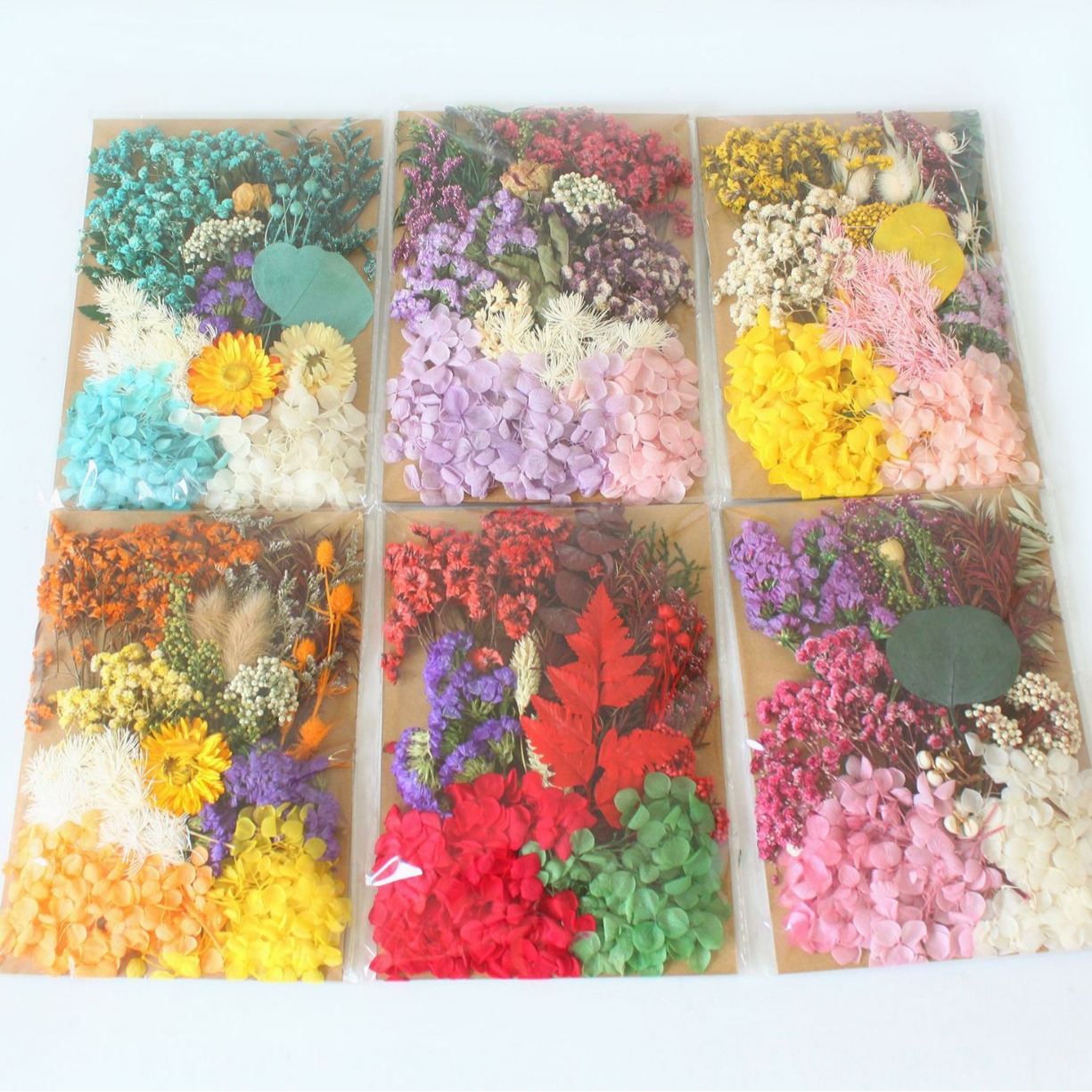A5 bag dried flower eternal flower material package wholesale Amazon cross-border embossed dried flower DIY handmade floral gift