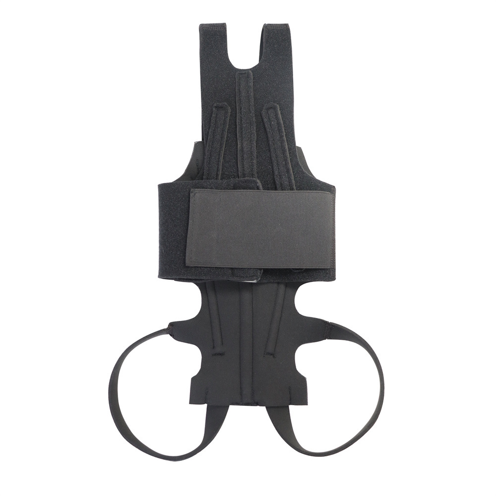 Amazon Explosions Dog Back Support IVDD Relieve Back Pain Relief Pain Injury Support Dog Vest
