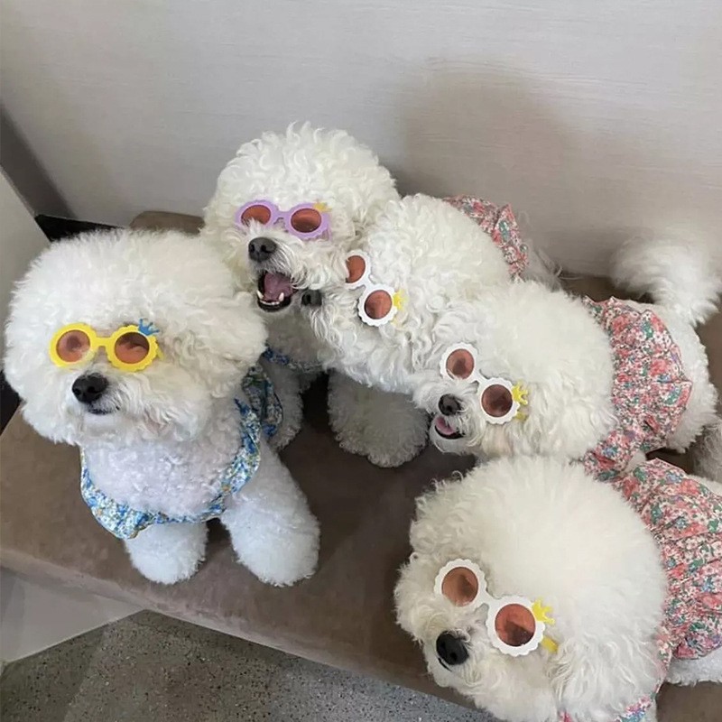 Cross border hot pet glasses 18 inch American girl doll accessories glasses 43cm summer doll crown glasses
