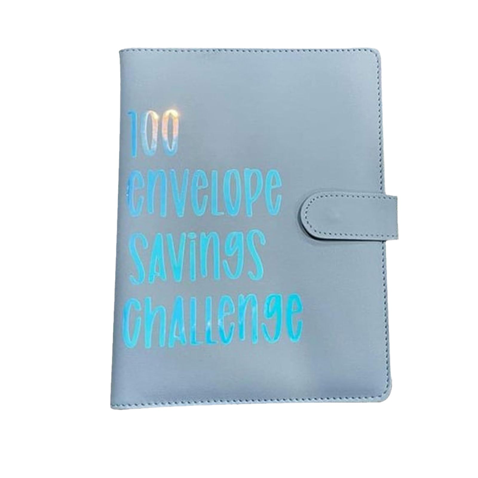 100EnvelopeChallenge loose-leaf book 100 days money saving book challenge cash envelope saving book