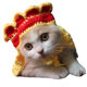Pet Headgear Cat and Dog Knitted Hat cospaly Props Headdress Funny Transformation Clothing 