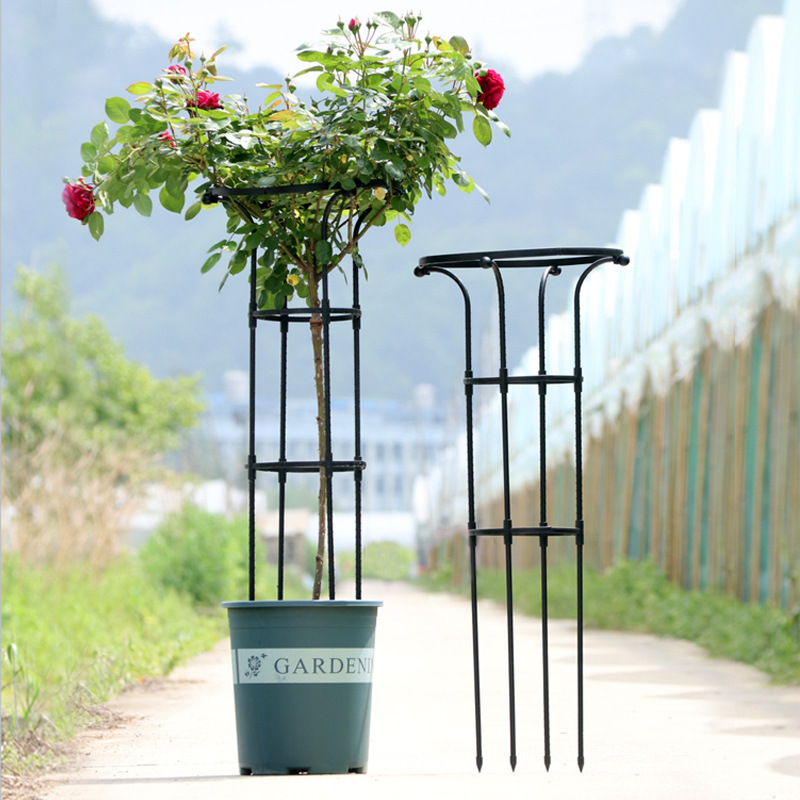 Single-circle umbrella-shaped rose climbing frame climbing plant flower stand green plant flower stand outdoor assembly cross-border supply