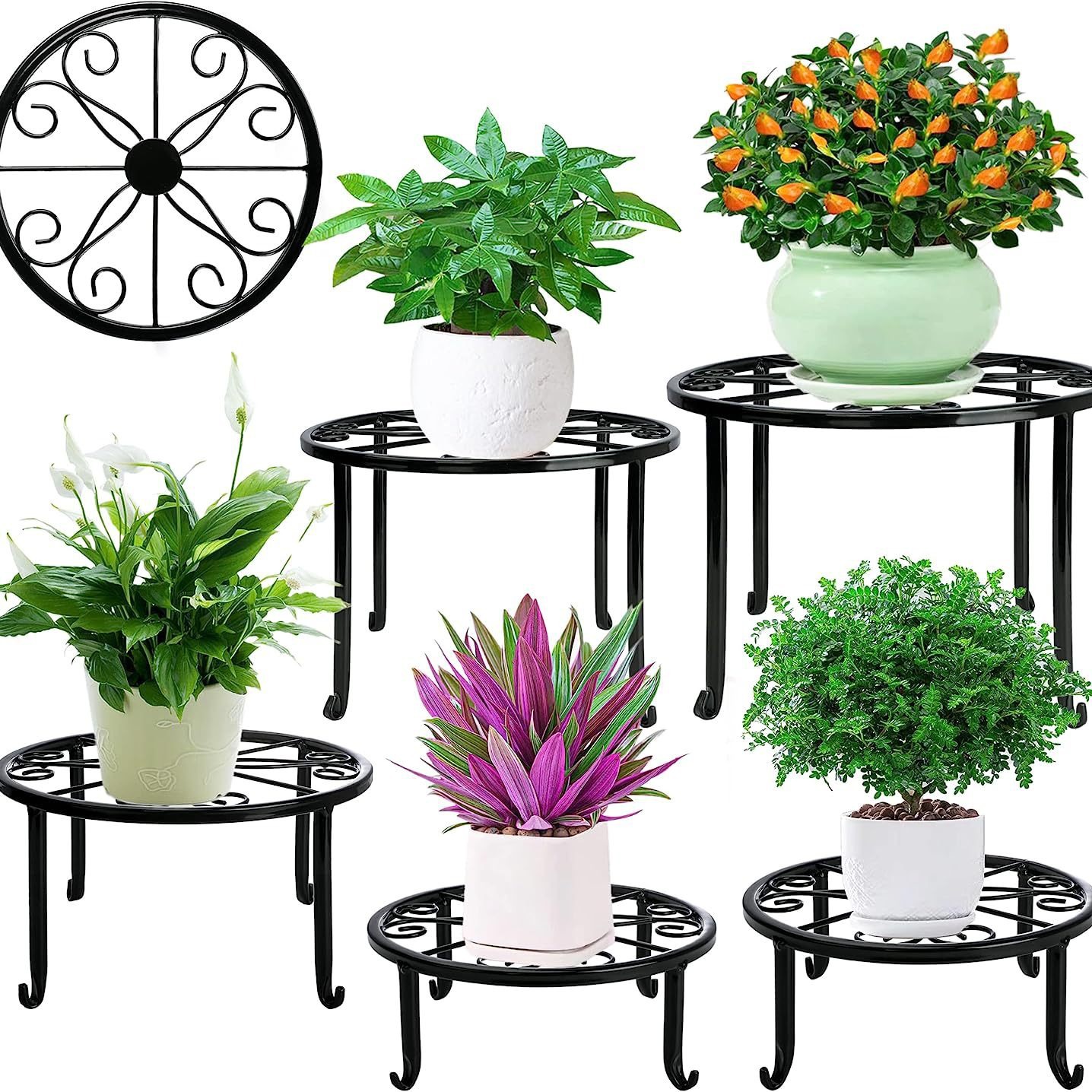 Indoor Bonsai Flower Rack Iron Art Fine Fine Work Metal Simple Floor Flower Rack