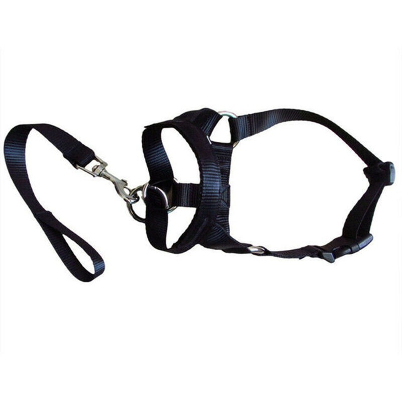 Factory Direct Pet muzzle nylon dog muzzle Dog Mouth rope anti-barking anti-bite explosion-proof punching pet training dog rope