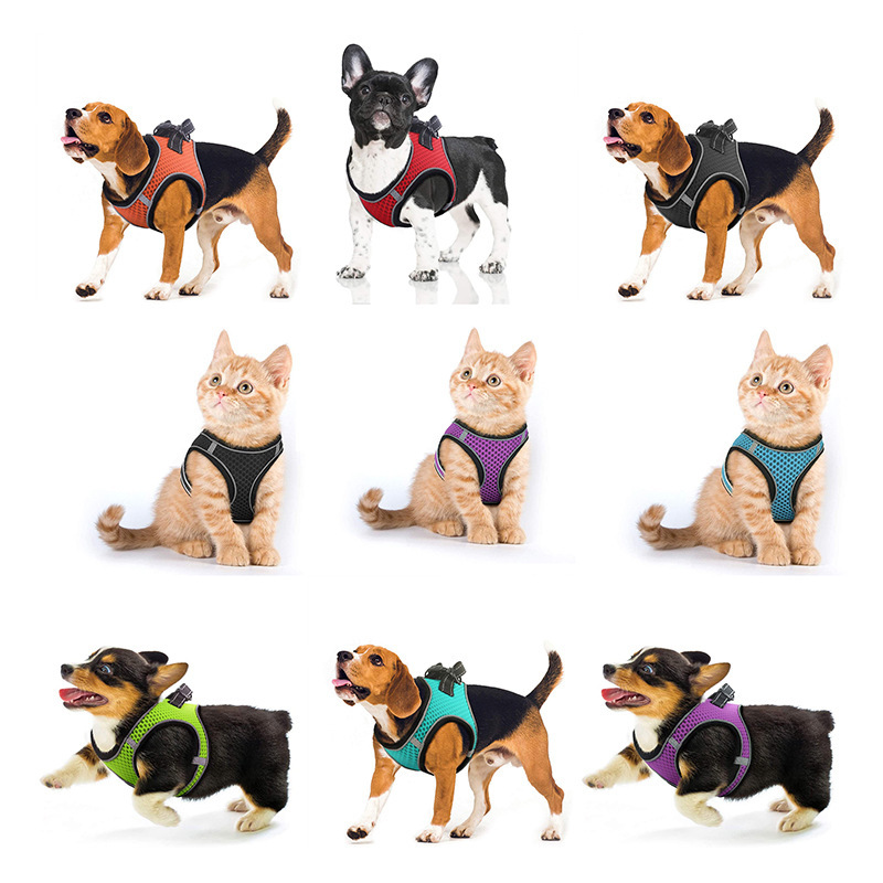 Pet leash anti-break cat vest chest strap breathable cat walking dog walking universal dog chain manufacturers wholesale