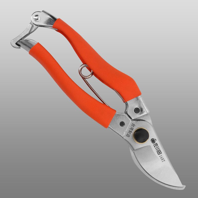 Sagawa Tian household shears garden gardening garden pruning tree shears fruit shears Ji pruning shears 168T iron handle stained with plastic