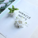 Small B milk white