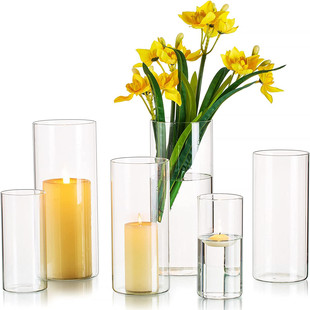 Transparent decorative glass vase Nordic ins style living room creative ornaments glass vase wholesale dried flower hydroponics