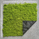 New wool moss (about 1*1 m) light color can be any shape