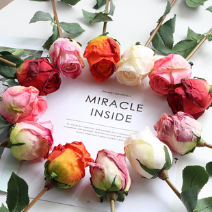Fire Roasted Single Romantic Scorched Edge Hand-feeling Rose Curling Artificial Flower Living Room Dining Table Floral in stock