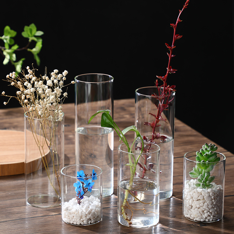 Hydroponic Plants Straight Glass Vase Creative High Borosilicate Glass Flower Pot Art Flower Vase Moss Landscape Bottle