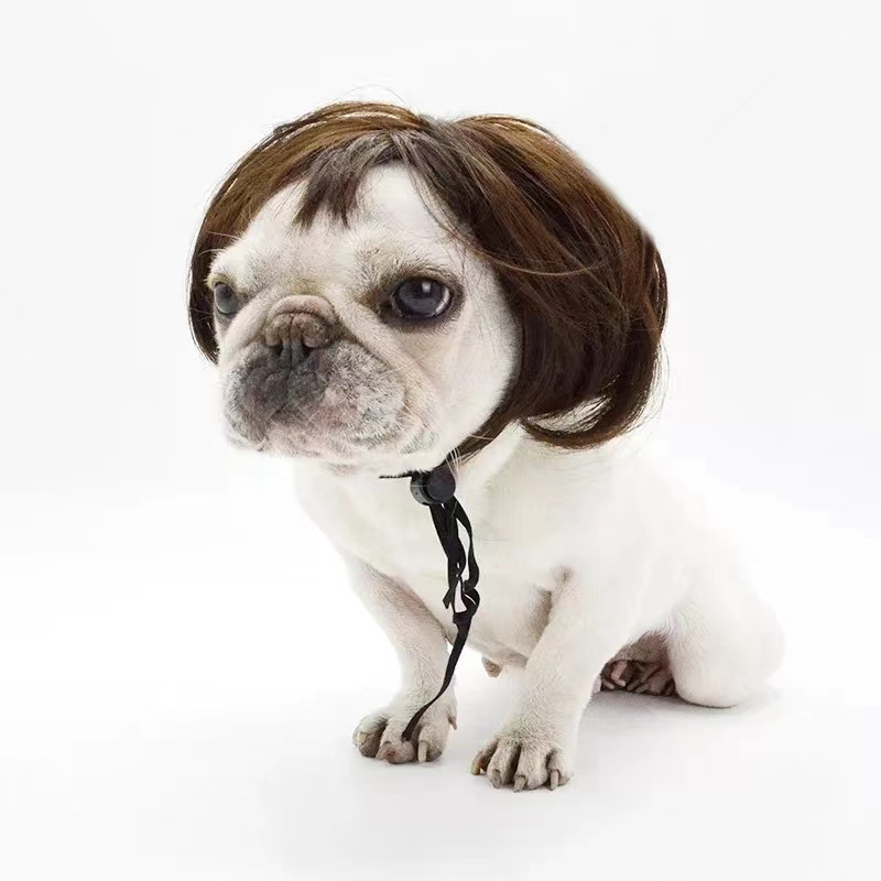 [Tail Print WEIYIN] Pet Wig Cat Headgear Cat Dog Dress Funny Headwear Pet Hat Accessories