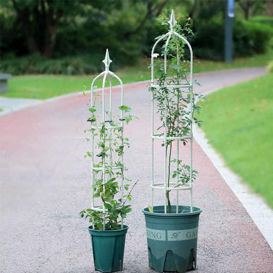 Cross-border Amazon splicing 8mm plant vine stand flower stand rose climbing stand support flower stand wholesale