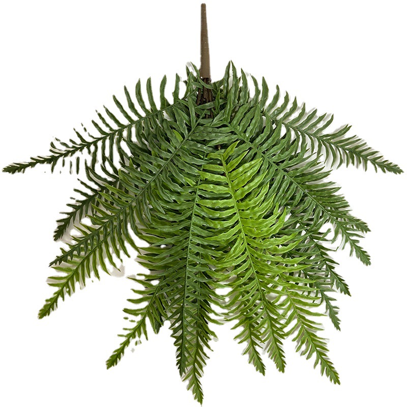 Wholesale High Imitation Persian Fern Grass Various Style Row Grass Green Tianmen East Landscape Plant Fern Grass Leaves