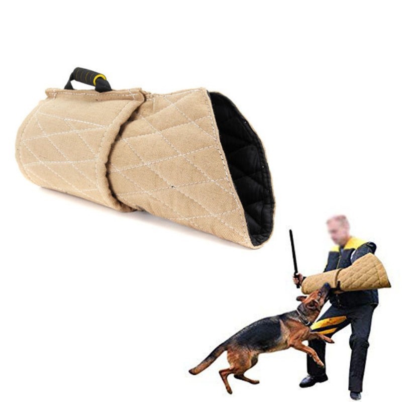 アマゾンのトレーニング犬の黄麻は袖の中で青年の犬を噛んで犬を訓練します。|undefined
