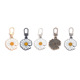 Daisy-shaped five colors each one mixed