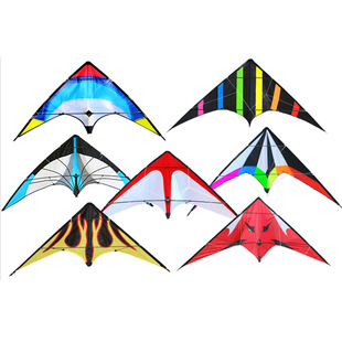 Weifang kite 1.2 m double-line stunt kite cross-border e-commerce double-line sports kite
