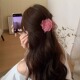 Pink Rose