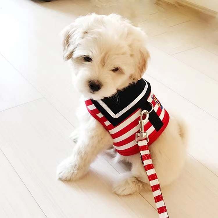 Pet dog leash chest strap Teddy VIP Bomei vest dog leash dog chain puppy small dog