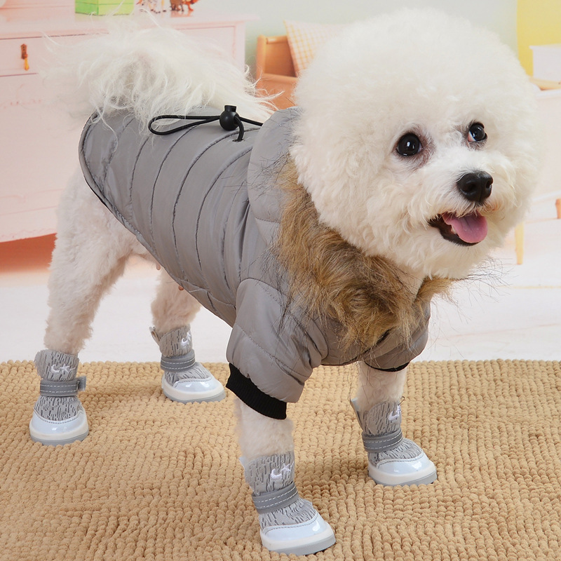 秋/冬シーズン暖かい綿コート小型犬ビションフリーゼポメラニアンテディ犬服冬|undefined