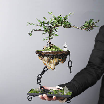 Wholesale cross-border iron hanging ornaments iron chain suspension living room decoration bamboo succulent moss ball landscape Basin