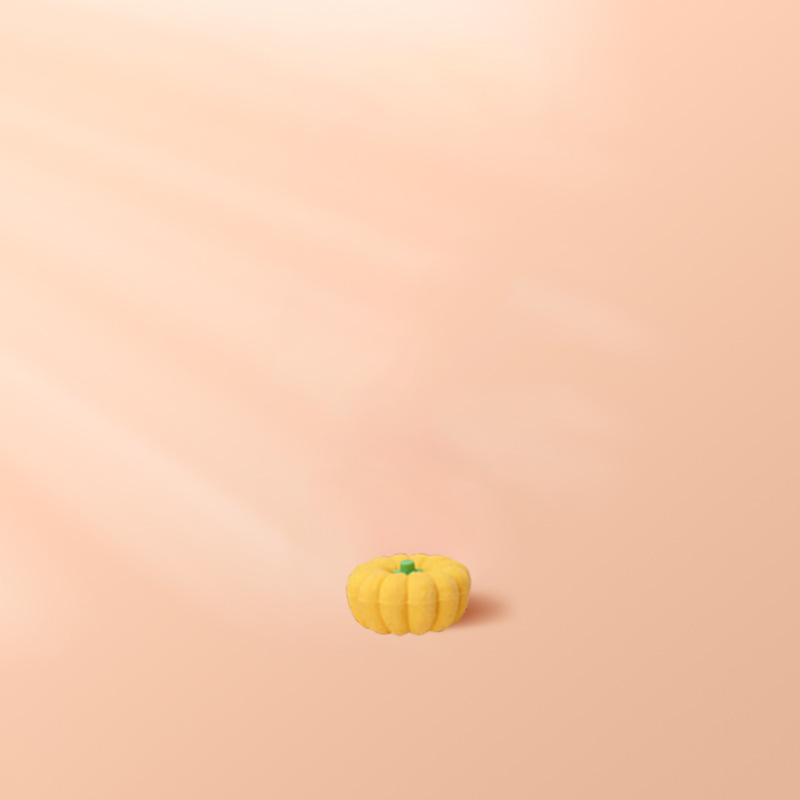 Pumpkin [small size]]