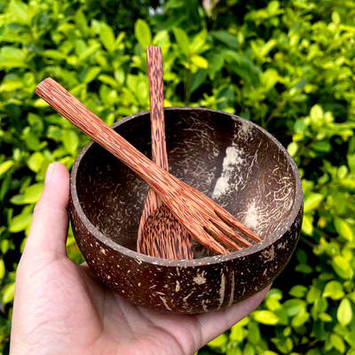 Southeast Asia Vietnam Coconut Bowl Natural Coconut Wooden Spoon Coconut Shell Bowl Yogurt Bowl Salad Bowl Ice Cream Bowl Wooden Bowl