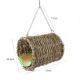 Summary New Hamster Toy Molar Toy Water Grass Rabbit Totoro Play Molar Feeding Ball Supplies