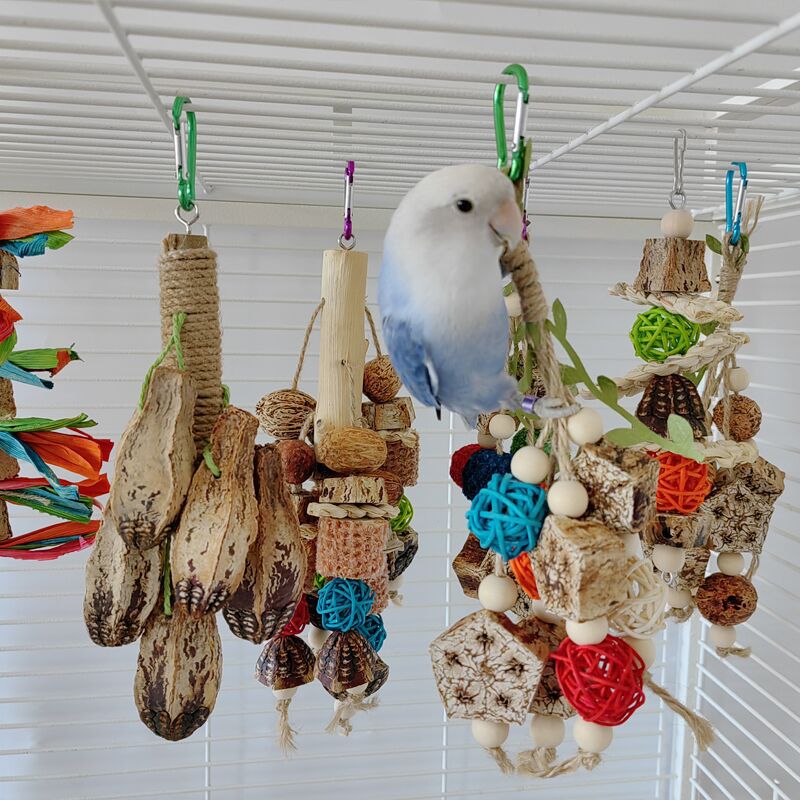 Parakeet Toy 1