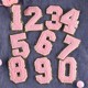 8cm pink number 0-9 set
