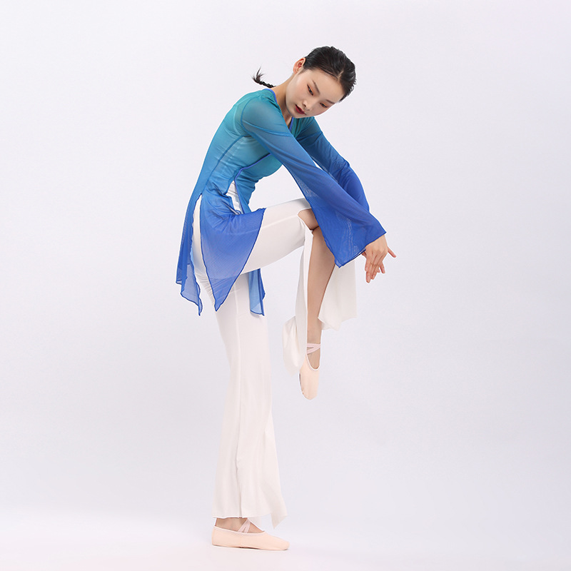Bao Guang Hong Hua New Product Classical Dance Gradient Ethnic Rhyme Performance Practice Clothes Female Adult Gauze Dance Costume