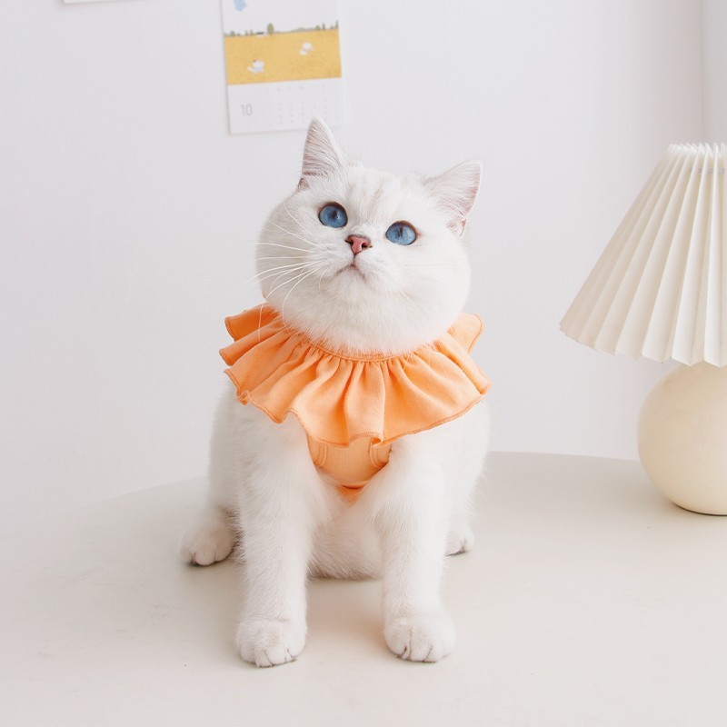 Meoof 薄型通気性ペット弾性手術回復スーツ猫のための抗なめる生理服スプレー後の|undefined