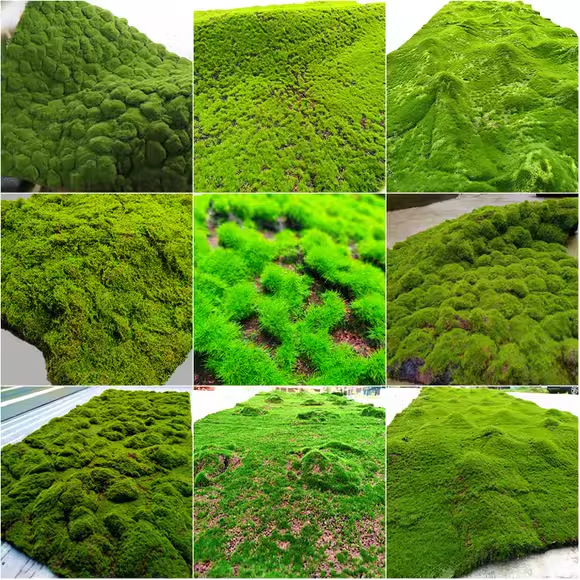 simulation moss landscaping bionic turf fake moss micro landscape layout lawn bonsai bonsai bonsai pavement landscaping decoration