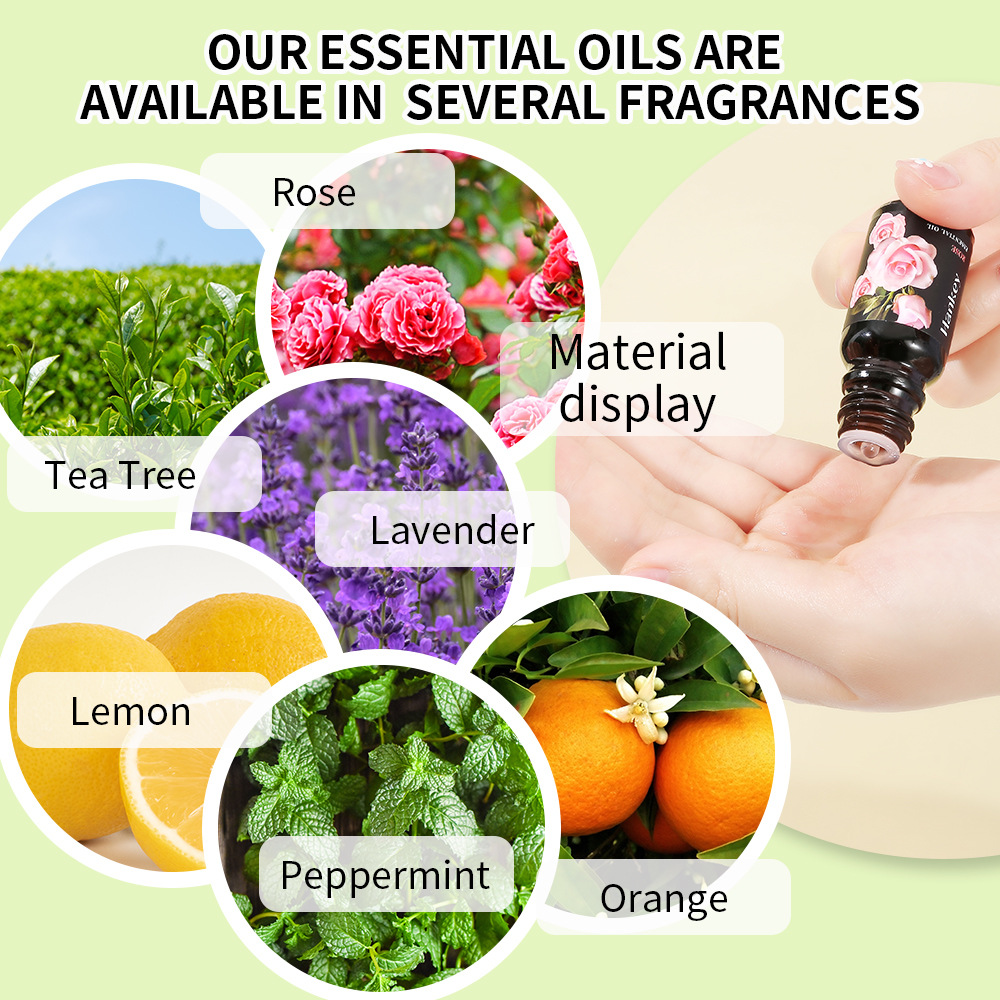 Cross-border Hanji Lavender Essential Oil 10ml Body Massage Massage Essential Oil Beauty Salon SPA Special Factory Straight