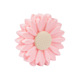 pink crystal daisies