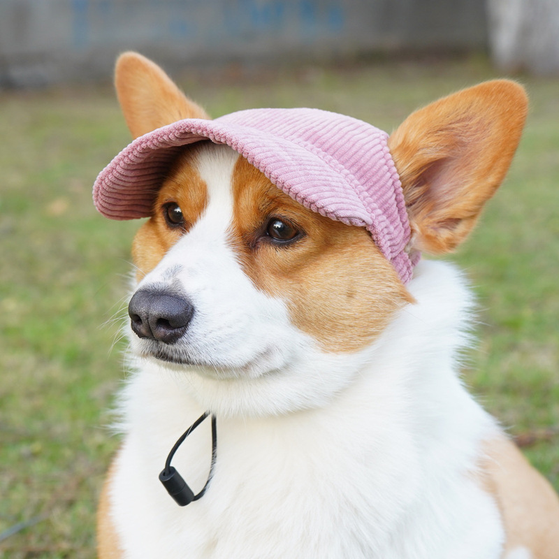 カジュアルコーデュロイペット帽子猫犬日焼け止め屋外装飾野球帽ペット服アクセサリー|undefined