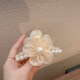 Champagne Sunflower Pearl Clamp