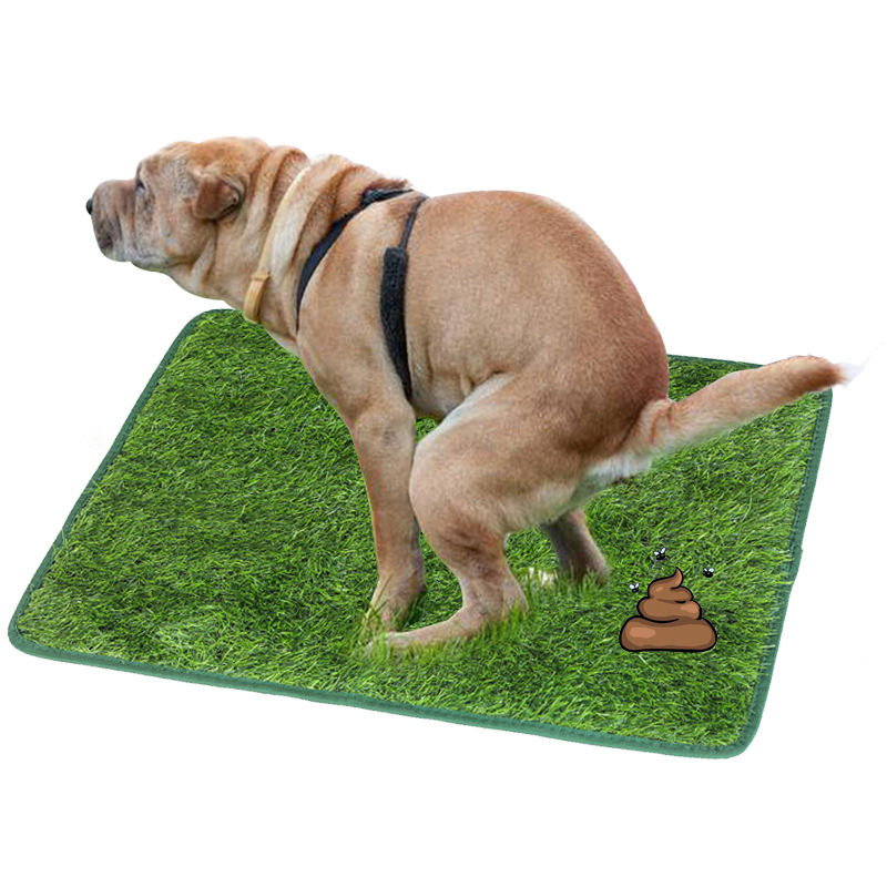 Pet dog toilet matching lawn mat dog lawn teddy dog Little seven golden retriever dog toilet with lawn mat