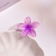 4CM Bauhinia (purple)
