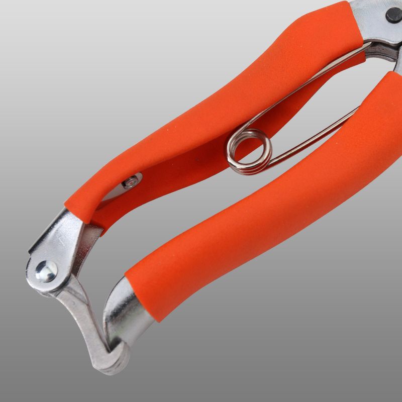 Sagawa Tian household shears garden gardening garden pruning tree shears fruit shears Ji pruning shears 168T iron handle stained with plastic