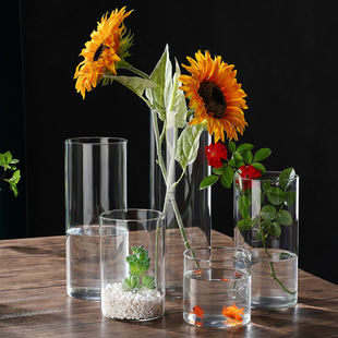 High Borosilicate Glass Hydroponic Plant Bottle Indoor Desktop Small Flower Pot Straight Artistic Flower Vase Moss Ecological Bottle