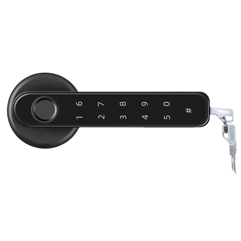 Omedi Graffiti Bluetooth Fingerprint Lock Mobile Phone Unlock Indoor Room Office Glass Password Door Lock Smart Lock